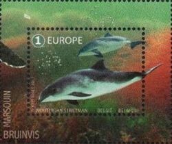 Porpoise
