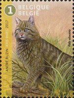 Felis silvestris