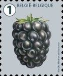 Coilstamp Blackberry (2019 Printing : New Die Cut)