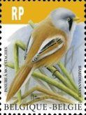 Bearded Reedling (Panurus biarmicus)
