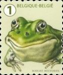 Green Frog (Pelophylax sp)