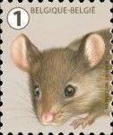 House Mouse (Mus musculus)