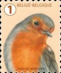 European Robin (Erithacus rubecula)