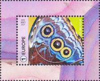 Butterfly Wing, Menelaus blue Morpho (Morpho menelaus)