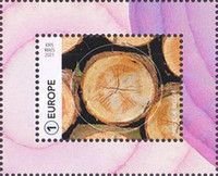 Tree Rings