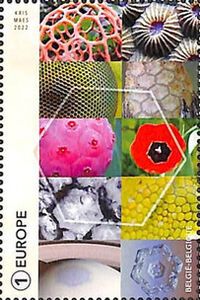 Geometry of Nature : Hexagon