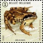 Grass Frog (Rana temporaria)