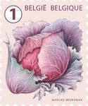 Red Cabbage