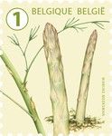 Asparagus