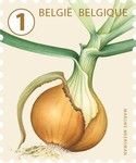 Onion