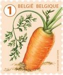 Carrot