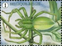 Micrommata virescens