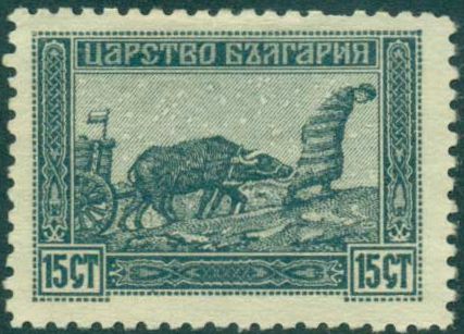 Farmer with buffalos