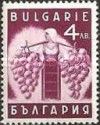 Winemaker with Grapes