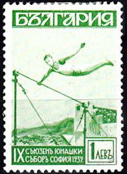 Gymnastics Bars