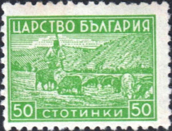 Shepherd with Flock