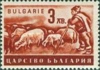 Shepherd with Flock