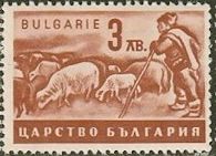Shepherd with Flock