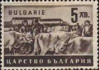 Cattle Breeding