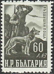 Mountain Patrol with German Shepherd