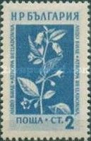 Deadly Nightshade (Atropa belladonna)