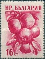 Apples (Malus sylvestris var domestica)