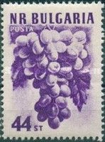 Bunch of Grapes