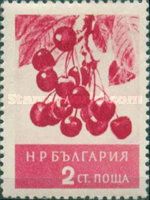 Cherries (Prunus avium)
