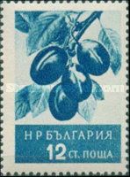 Plums (Prunus domestica)