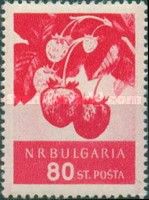 Strawberries (Fragaria ananassa)