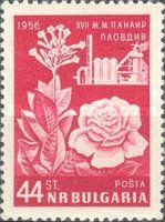 Tobacco / Rose and Destillery