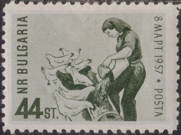 Woman feeding chickens