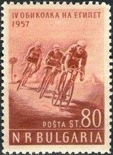 Cyclists in front of Palm Trees and Pyramid