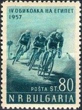 Cyclists in front of Palm Trees and Pyramid