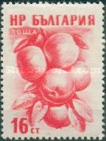 Apples (Malus sylvestris var domestica)