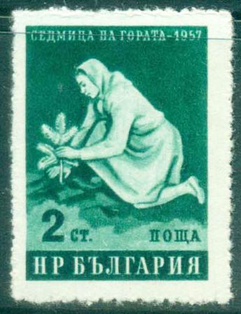 Woman Planting Tree