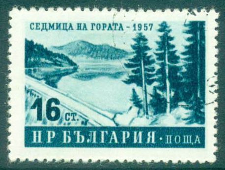 Dam, Lake and Forest