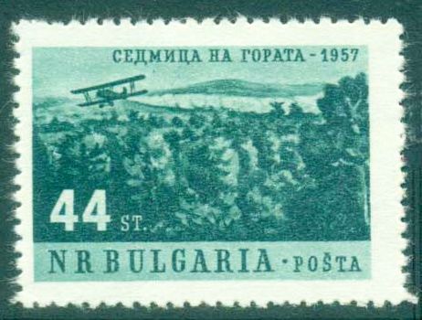 Aircraft Spraying over Forest