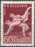 Wrestler