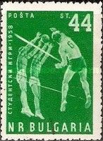 Volleyball