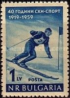 Downhill Skier