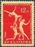 Gymnastic Exercise