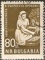 Woman Winegrower