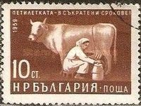 Woman milking Cow
