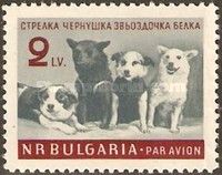Cosmonaut Dogs "Strelka", "Chernushka", "Zwezdotschka" and "