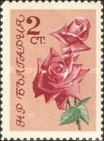 Red roses