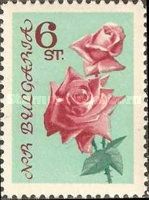 Red roses