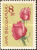 Red roses