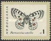 Apollo (Parnassius apollo)