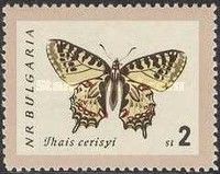 Eastern Festoon (Zerynthia cerisyi)